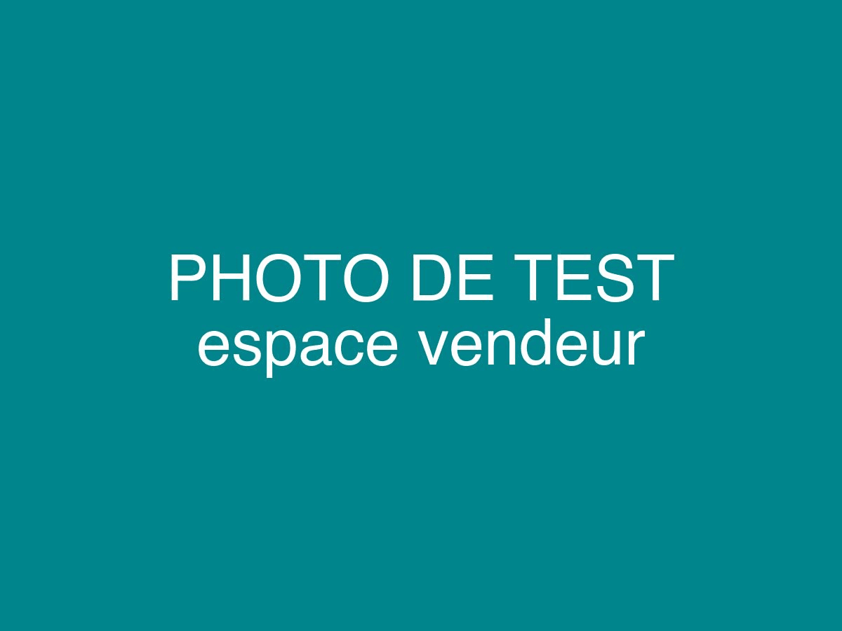 Photo véhicule d'occasion - photo-test-espace-vendeur.jpg